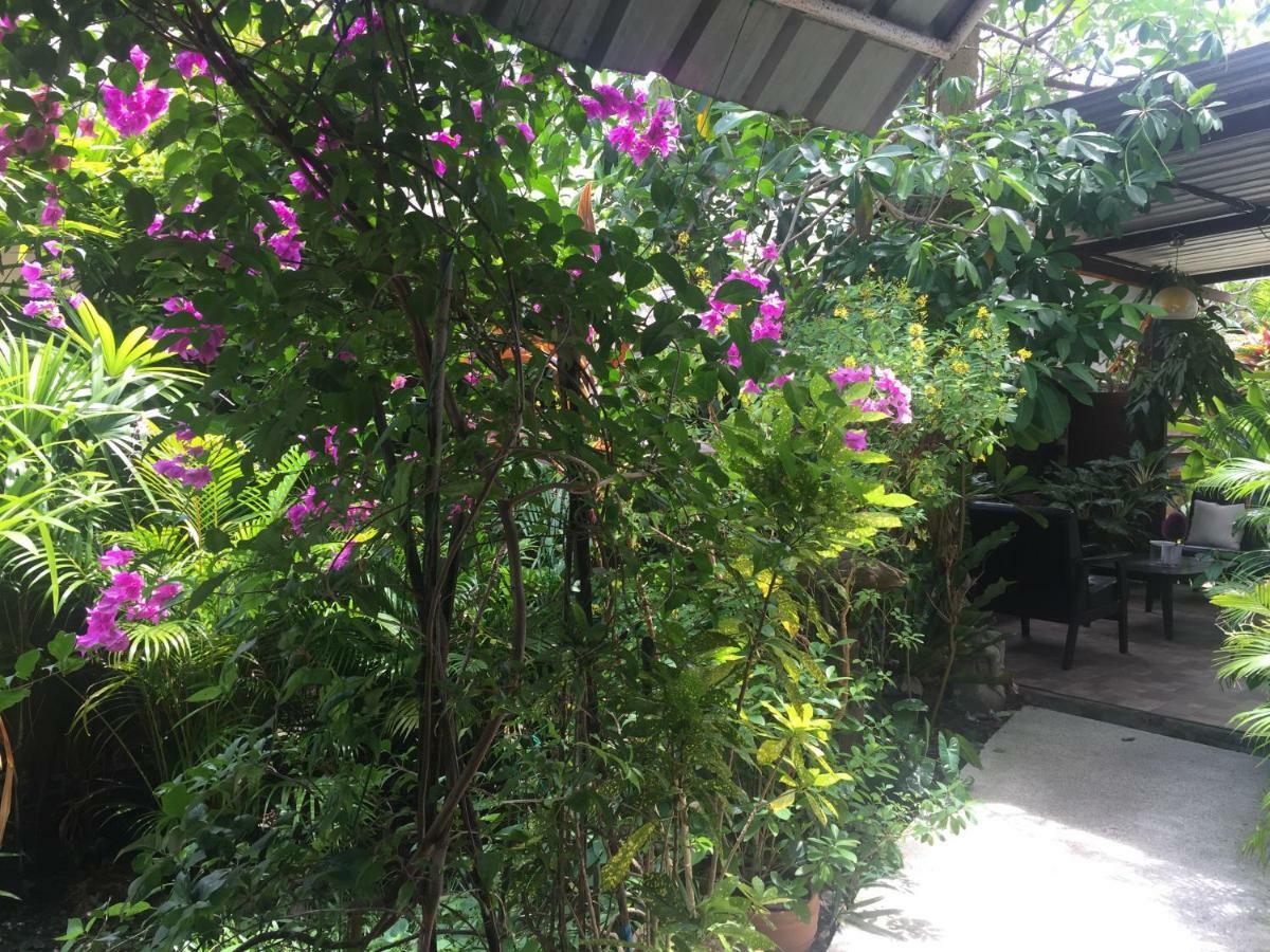 Lemon House Samui Ξενοδοχείο Mae Nam Εξωτερικό φωτογραφία