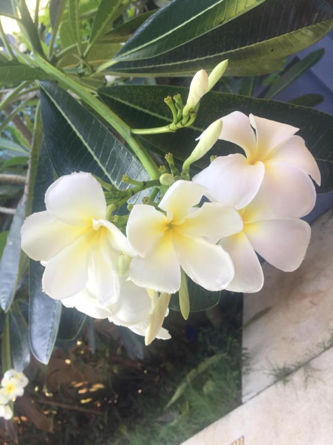 Lemon House Samui Ξενοδοχείο Mae Nam Εξωτερικό φωτογραφία